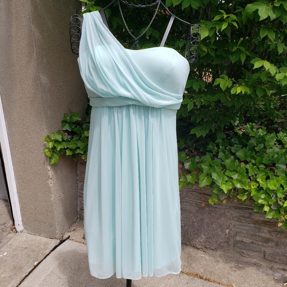 David's bridal bridesmaids dress